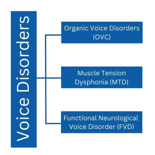 Understanding Functional Voice Disorders